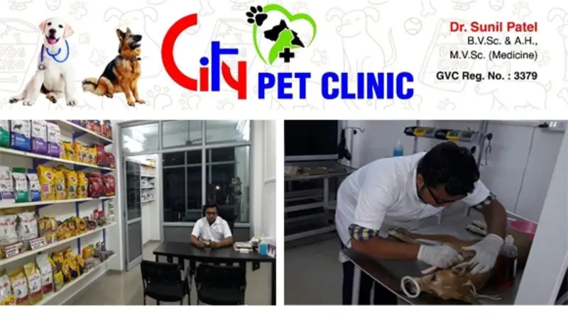 City Pets Veterinary Clinic